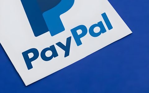 【浏览器插件】paypal贝宝余额/转账记录自定义数据插件